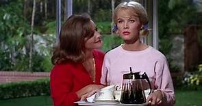Good Neighbor Sam (1964) (720p)🌻 Classic & Older Hollywood Films