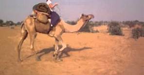 How to ride a camel