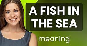 Understanding the Phrase "A Fish in the Sea"