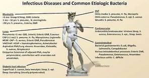 Bacterial Etiologies of Common Infections (Antibiotics - Lecture 2)