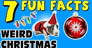 7 FUN WEIRD FACTS ABOUT CHRISTMAS! CRAZY FACTS FOR KIDS! Learning Colors! Mistletoe Snow! Xmas Funny