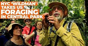 NYC ‘Wildman' Steve Brill Takes Us FORAGING in Central Park | NBC New York