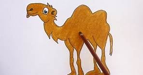 Dibujando y coloreando camello - Camel drawing and coloring