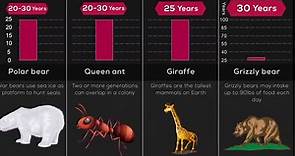 Lifespan Comparison: The Shortest and Longest Lifespans of Animals