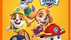 PAW Patrol: Volume 12 Episode 102 Charged Up: Pups vs. a Copy Cat Marshall