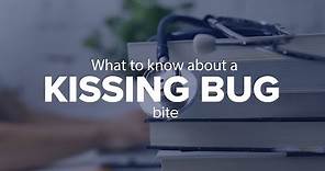 Expert Insights: What to know about a kissing bug bite
