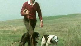 One Man and His Dog, 1976