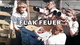 FLAK Feuer (Luftangriffe Originalaufnahmen, Deutsche Luftwaffe, Dokumentation 2. Weltkrieg)