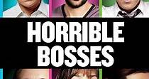 Horrible Bosses streaming: where to watch online?