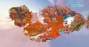 美麗華旅遊 帶您秋遊韓國