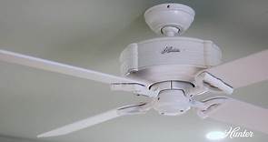Hunter Builder Low Profile 42 in. Indoor Snow White Ceiling Fan 51090