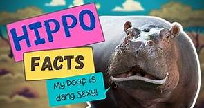 Hippo Facts || Fascinating things about hippos you probably don't know 🦛🦛 🦛