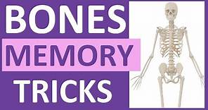 How to Learn the Human Bones | Tips to Memorize the Skeletal Bones Anatomy & Physiology