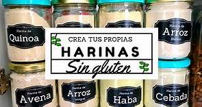 ¡CREA TUS PROPIAS HARINAS EN CASA! CON OPCIONES SIN GLUTEN -Transición Vegana