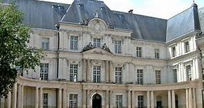 Castillos del Loira - Château de Blois
