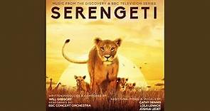 Serengeti Theme