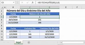 Número de Día del Año - Fórmula para Excel o Google Sheets - Automate Excel