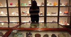 Harvard Museum of Natural History Quick Tour