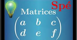 Matrice : introduction - définition - spé maths - Terminale S et ES