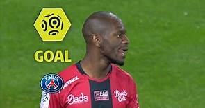 Goal Jordan IKOKO (52' csc) / EA Guingamp - Paris Saint-Germain (0-3) / 2017-18