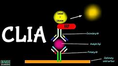 Chemiluminiscence Immunoassay | CLIA Immunoassay |