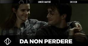 La saga completa di Harry Potter vi aspetta su Italia 1
