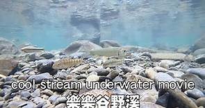 【樂樂谷】【大豹溪】新北 三峽 秘境探險 蚋仔溪 野溪 玩水: cool stream underwater movie