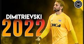 Stole Dimitrievski Best Saves 2022 | HD