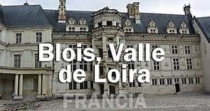 Conociendo Blois y su castillo, Valle de Loira - FRANCIA