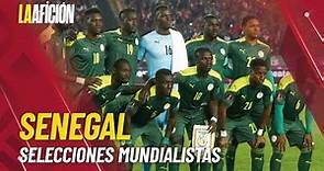 Perfil de la selección de Senegal; jugadores, director técnico y calendario en Qatar 2022