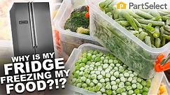 Refrigerator Troubleshooting: Why Is My Refrigerator Freezing My Food? | PartSelect.com