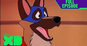 Flash the Wonder Dog | S1 E4 | Full Episode | Chip n Dale Rescue ...