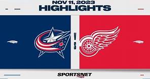NHL Highlights | Blue Jackets vs. Red Wings - November 11, 2023