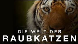 Die Welt der Raubkatzen - Trailer [HD] Deutsch / German