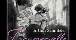 Traumnovelle - Arthur Schnitzler [Audiobook DE]