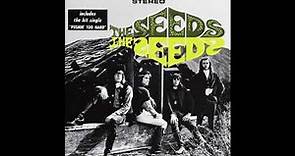 The Seeds - The Seeds 1966 (Full Album Vinyl 2003)
