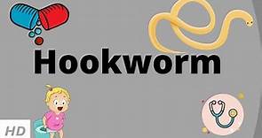 Hookworm, Causes, Signs and Symptoms, Diagnosis and Treatment.