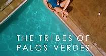 The Tribes of Palos Verdes - watch streaming online
