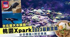 台灣自由行｜台北最大水族館！桃園Xpark 2023最新攻略 必去展區 附近美食