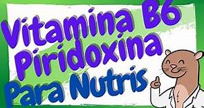 ¿Qué es la Vitamina B6? / Piridoxina en Nutrición