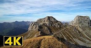 La Videmanette hike - Alpine ibexes - Switzerland