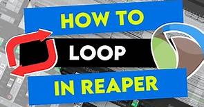How to Loop in REAPER (Beginners Guide!)