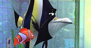 Alla Ricerca di Nemo 3D - Branchia e Nemo | HD