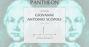 Giovanni Antonio Scopoli Biography - Italian physician and naturalist