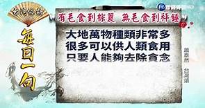 《台灣俗語》每日一句「有毛食到棕簑 無毛食到秤錘」 - 華視新聞網