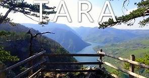 Tara National Park - Serbia
