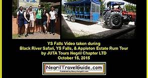 YS Falls Tour by JUTA Tours Negril Chapter LTD