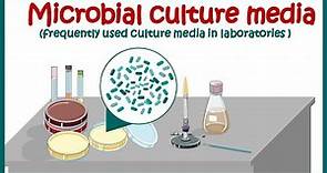 Bacterial culture media |classification and types of bacterial media | enriched & differential media