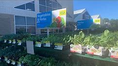 Lowe’s Garden Inventory Shop With Me February 2024 #lowestprices #gardening #fruitstrees #vegetable