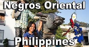 Visit Negros Oriental | Philippines